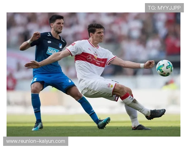 斯图加特俱乐部迎来新任主帅球队目标瞄准德甲前四